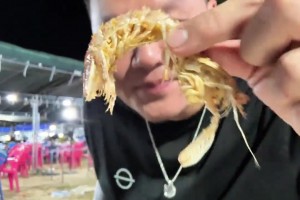 三亞夜宵朱芳雨談王治郅：他都不用微信的！我私下叫他籃板王